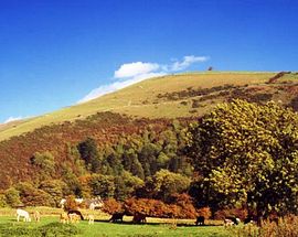 Swainsley Farm in the Manifold Valley