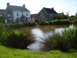 Newton-Upon-Rawcliffe