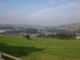 Fantastic views from the cottage