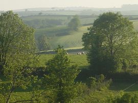 View from Kitchen Window