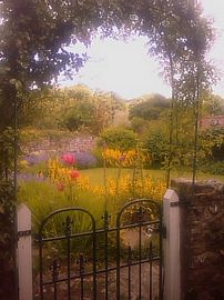 Cottage Garden through Gate