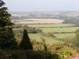 View from cottage