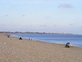 Beach Fishing