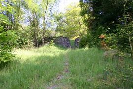 From top of garden onto the forest