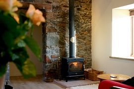 Wood burner in living room