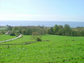 View from the Front of the Cottage