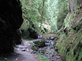 Puck's Glen adjacent to the lodge
