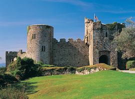Carew Castle just down the lane