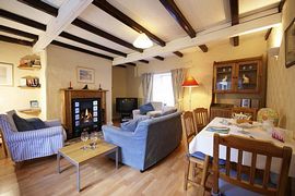 Living room with log fire