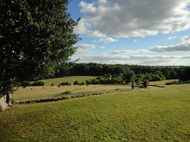 Garden with views