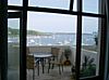 Puffins, Falmouth
