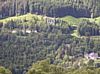 Forestry Cottage, Balmore