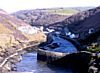 Turnstones, Boscastle